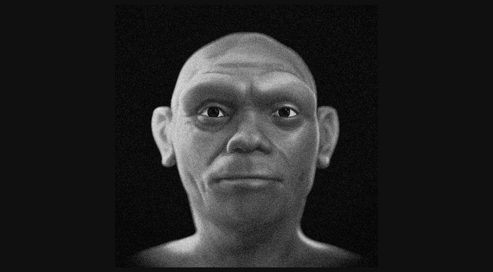 Ученые реконструировал внешность Homo longi — «человека-дракона»