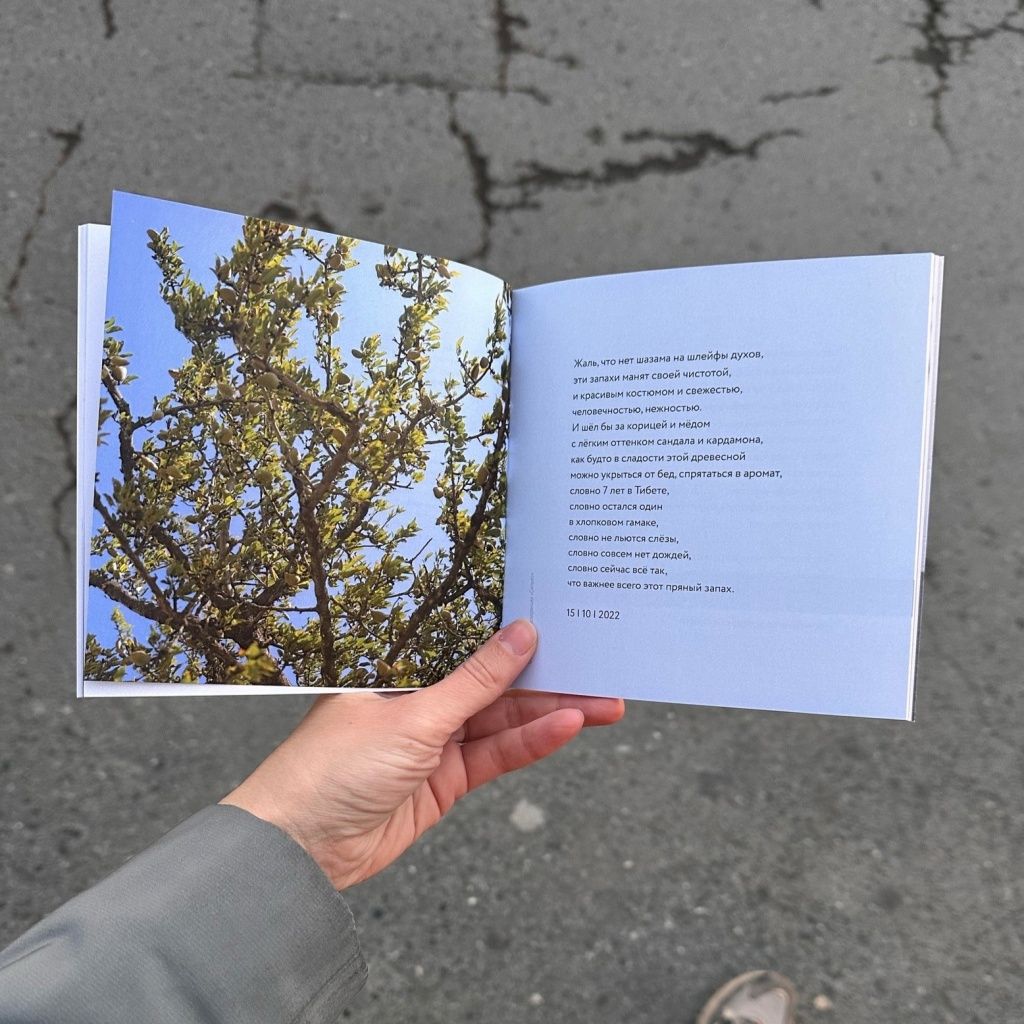 Тюменка презентует свой поэтический сборник, дополненный фотографиями и живописью